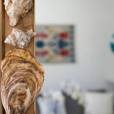 Villa Pavoncella With Private Pool